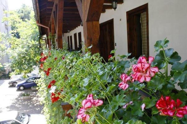 Hostel Mostel Sofia — Bilder 1